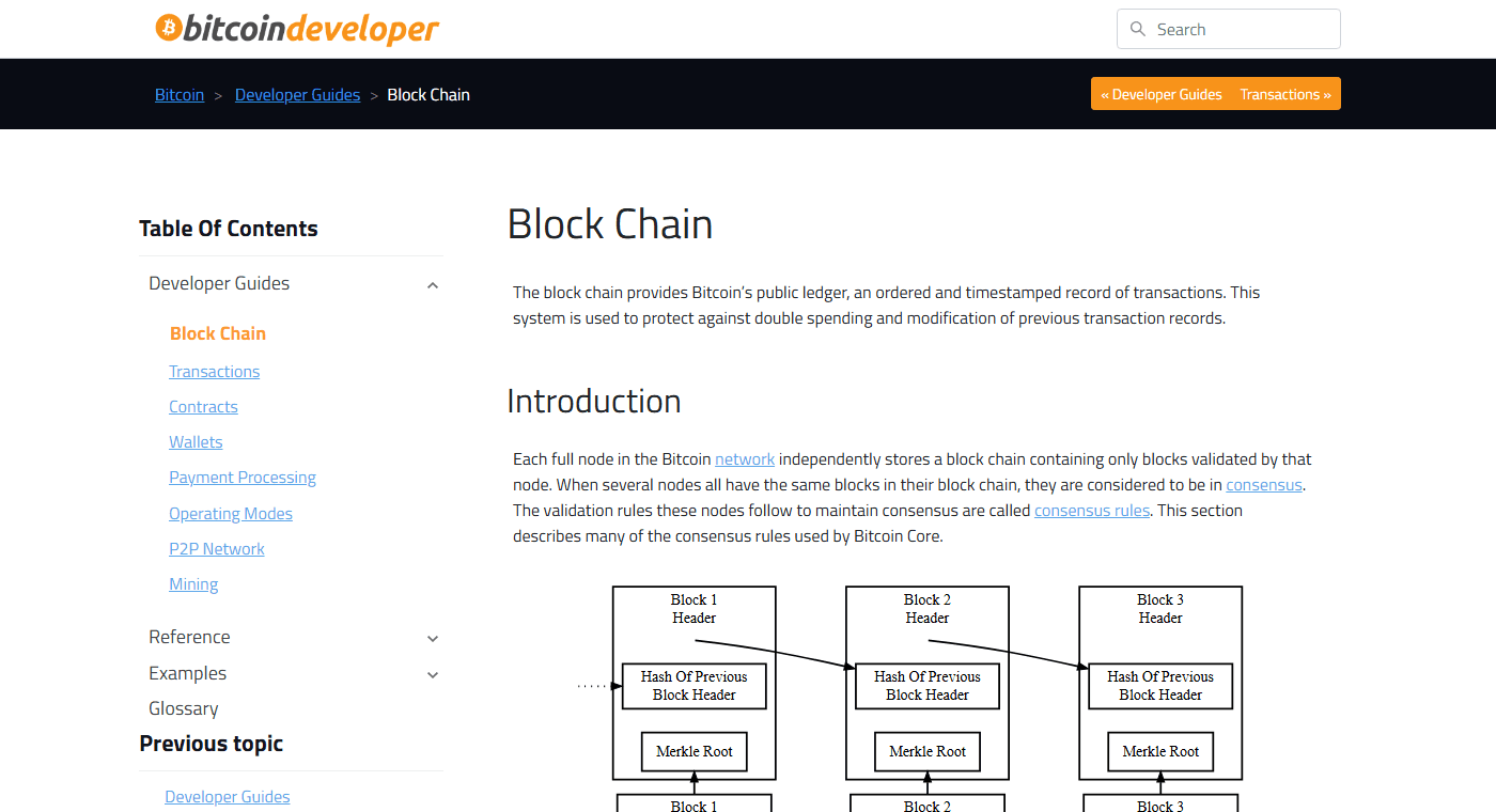 The Block Chain page of the Bitcoin developer guide on developer.bitcoin.org, showing its introduction to how blocks and proof of work fit together.